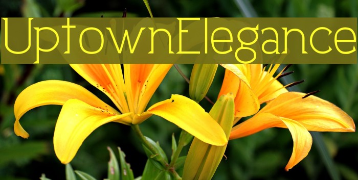 UptownElegance Font examples