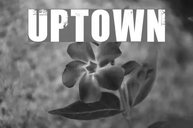 Uptown Font examples