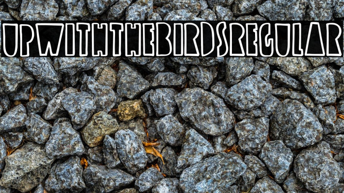 UpwiththeBirds-Regular Font examples