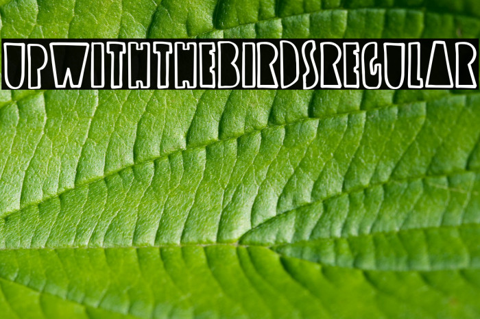 UpwiththeBirds-Regular Font examples