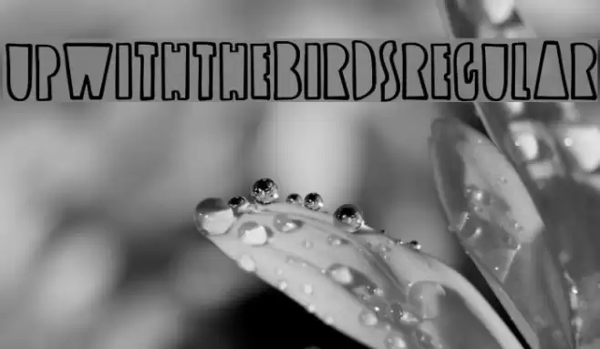 UpwiththeBirds-Regular Font examples