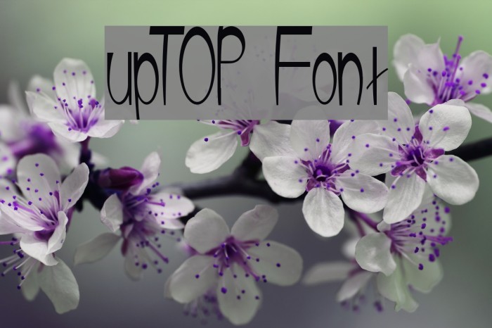 upTOP Font examples
