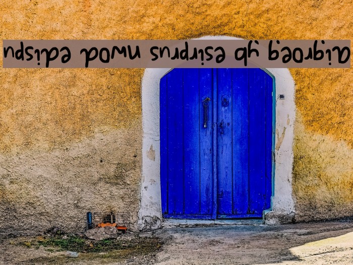 upside down surprise by georgia Font examples