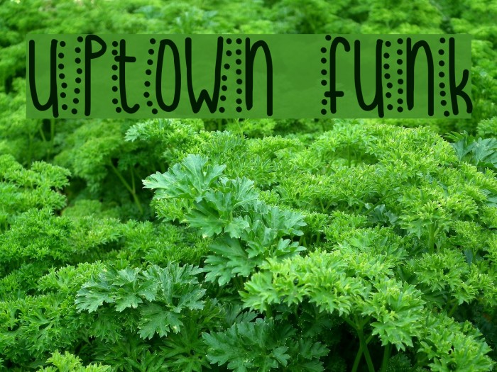 uptown funk Font examples