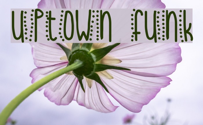 uptown funk Font examples