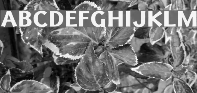 Uqammaq Heavy Fuentes examples