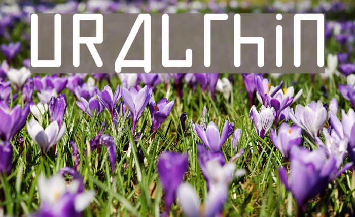 URALthin Font examples