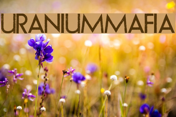 URANIUMMAFIA Font examples
