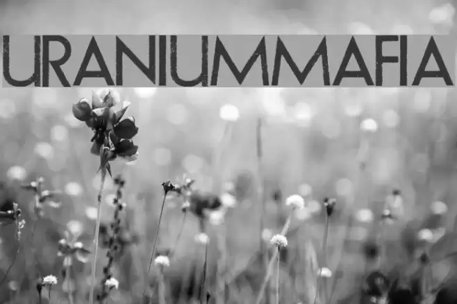 URANIUMMAFIA Polices examples