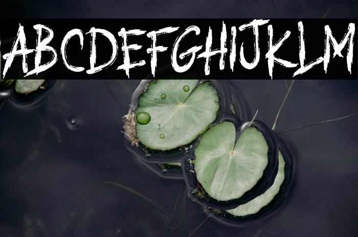 URBAN ASKED Example 1