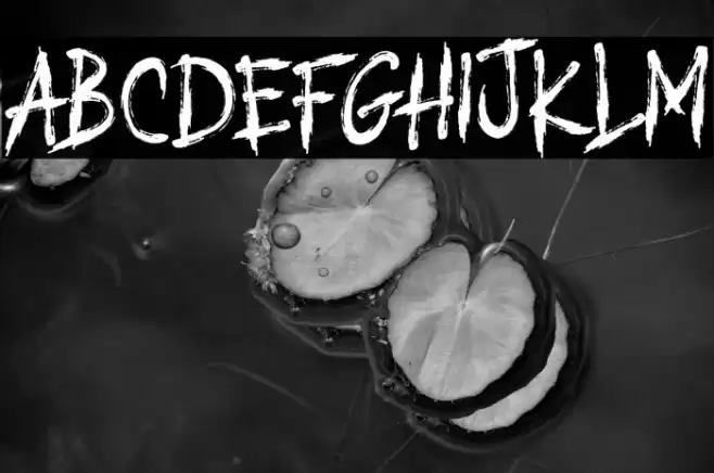 URBAN ASKED Font examples