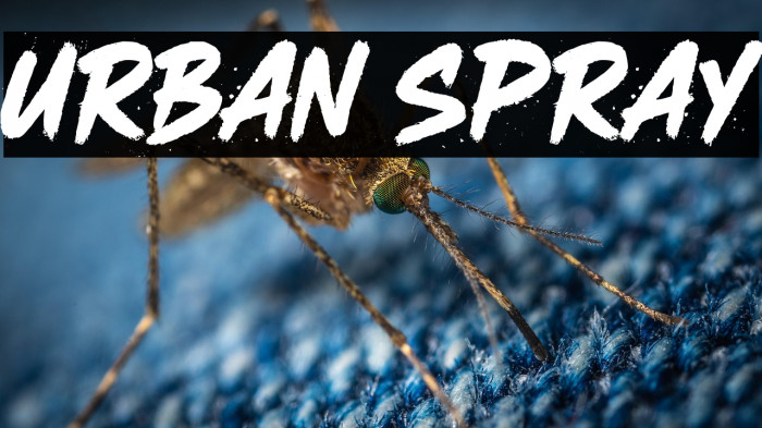 URBAN SPRAY Example 3