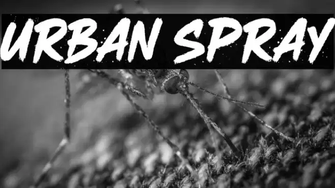 URBAN SPRAY خط examples