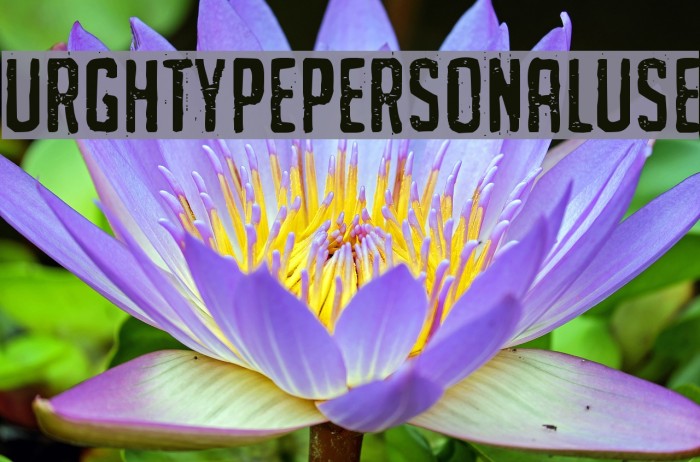 URGHTYPEPERSONALUSE Example 2