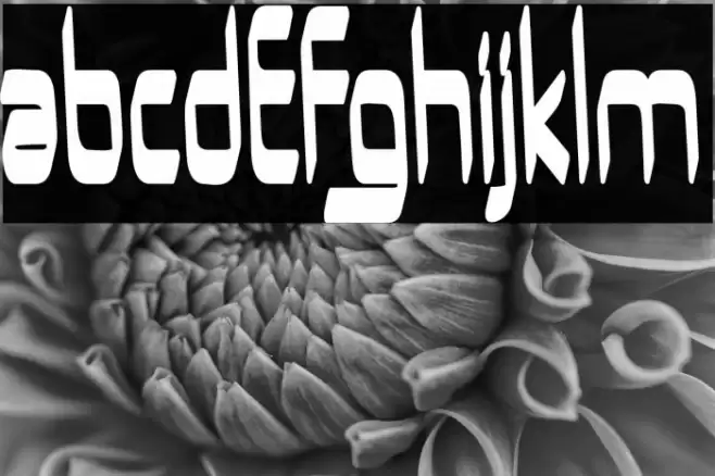 UrUrMa-Regular Font examples