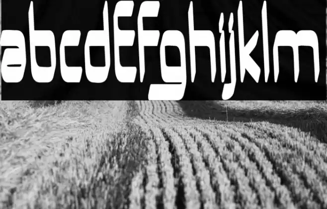 UrUrMa-Regular Font examples