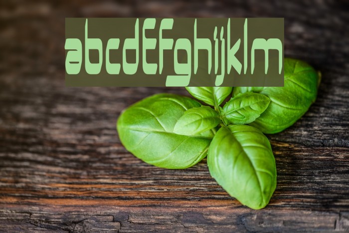 UrUrMa Font examples