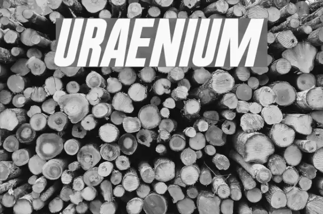 UraeNium Font examples