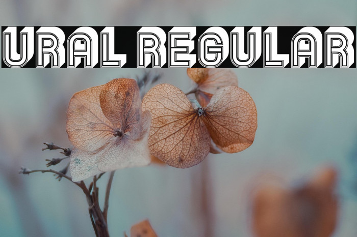 Ural Regular Example 3