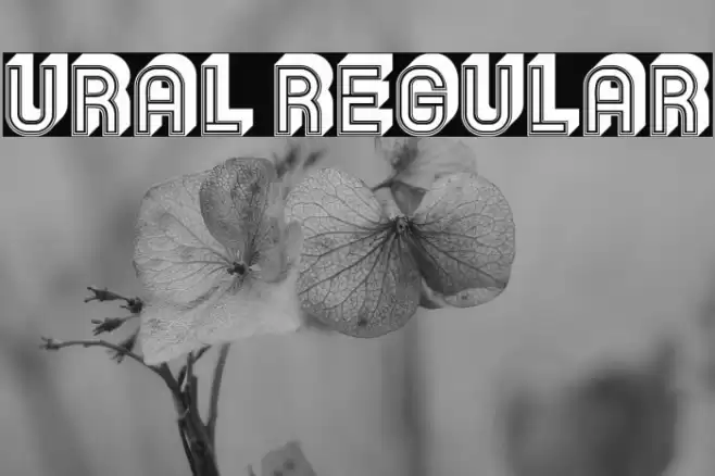 Ural Regular Font examples