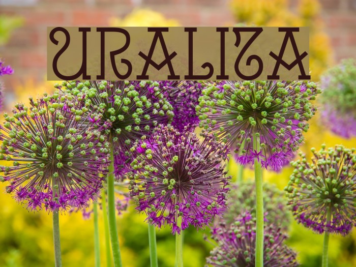 Uralita Font examples