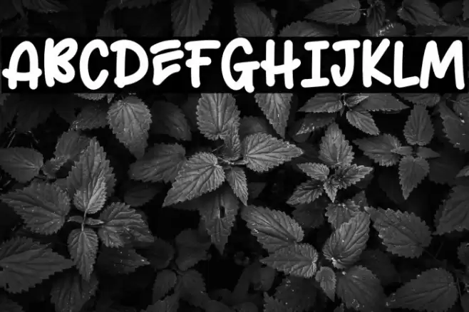 Urang Kaya Regular  examples