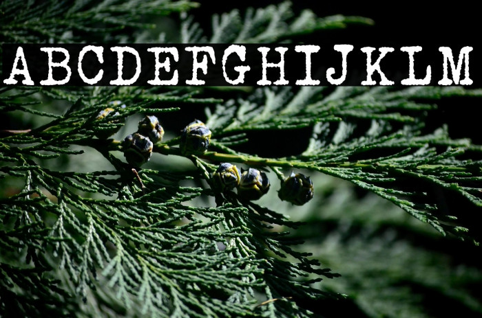 Urania Czech Example 1