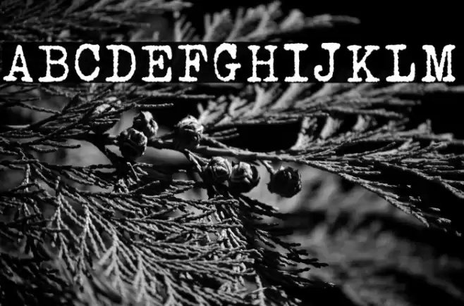 Urania Czech Font examples