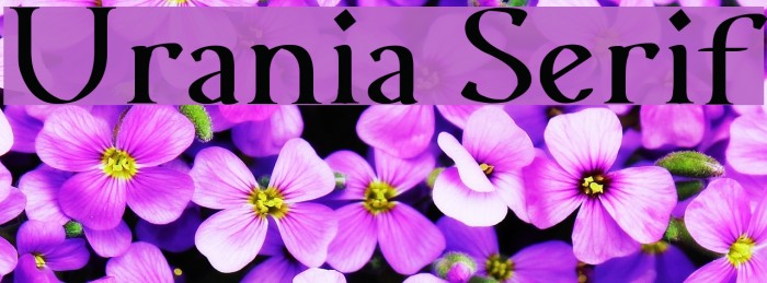 Urania Serif Example 1