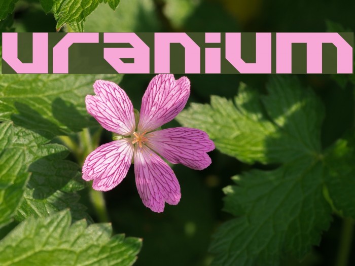 Uranium Font examples