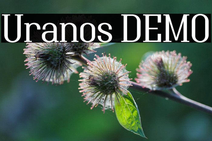 Uranos DEMO Example 1