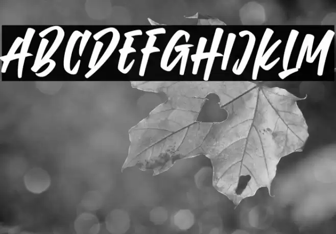 Urban Black Font examples