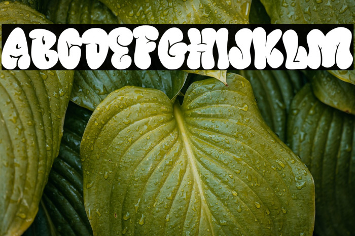 Urban Blocker personal use Solid Example 3