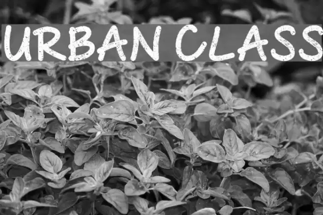 Urban Class Font examples