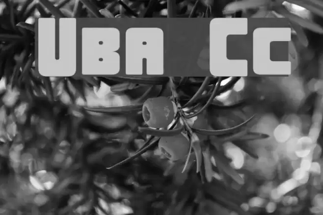 Urban Constructed Font examples