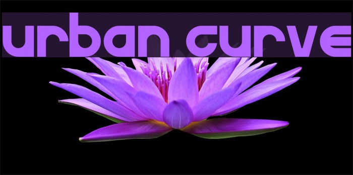 Urban Curve Example 1