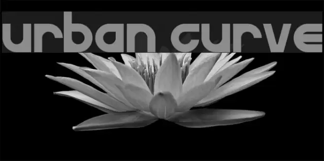 Urban Curve Font examples