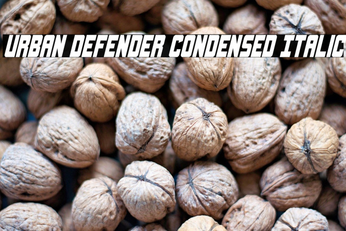 Urban Defender Condensed Italic Example 2