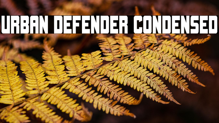 Urban Defender Condensed Example 1