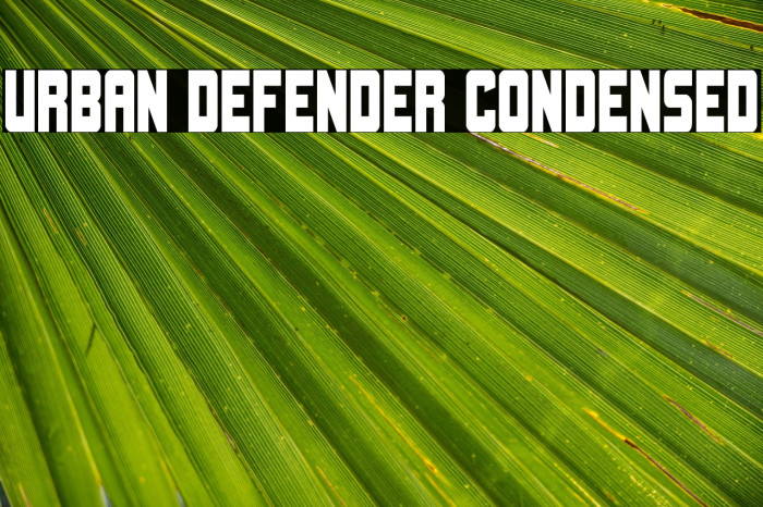Urban Defender Condensed Example 3