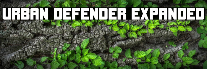 Urban Defender Expanded Example 2