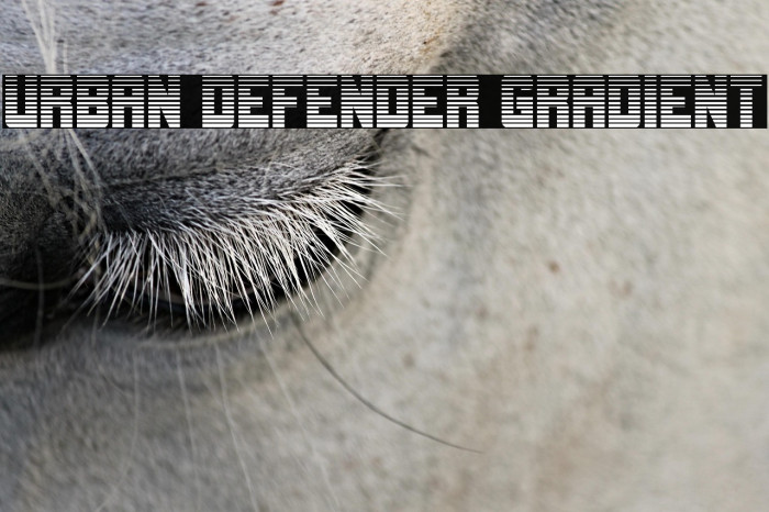 Urban Defender Gradient Example 2