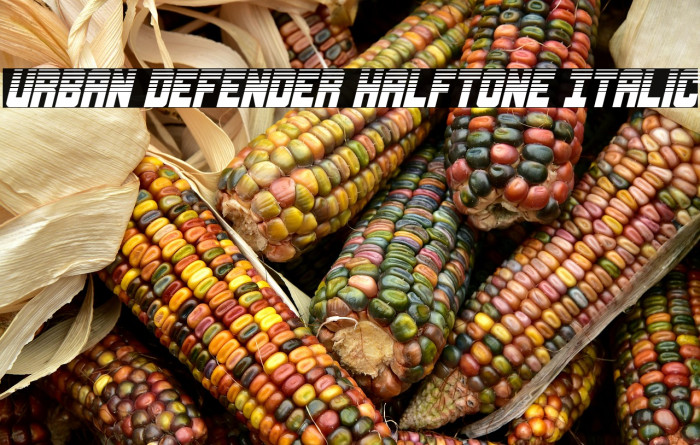 Urban Defender Halftone Italic Example 3