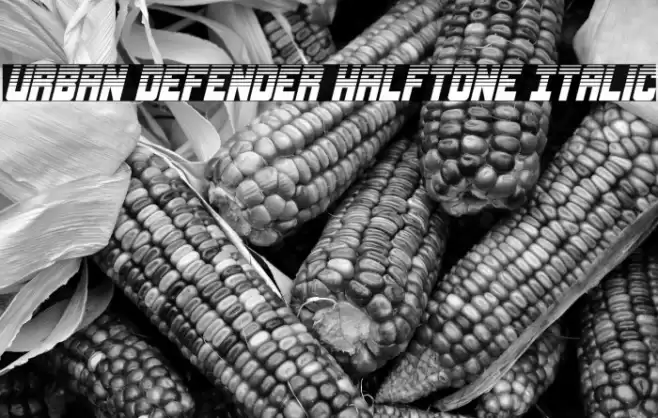 Urban Defender Halftone Italic Font examples