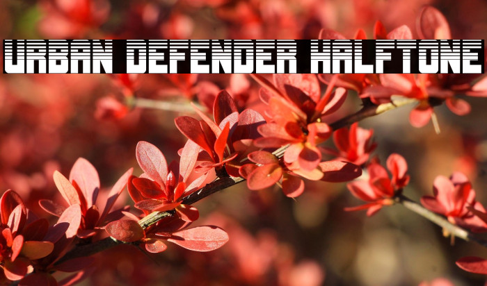 Urban Defender Halftone Example 3