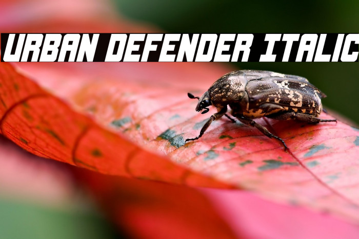 Urban Defender Italic Example 1