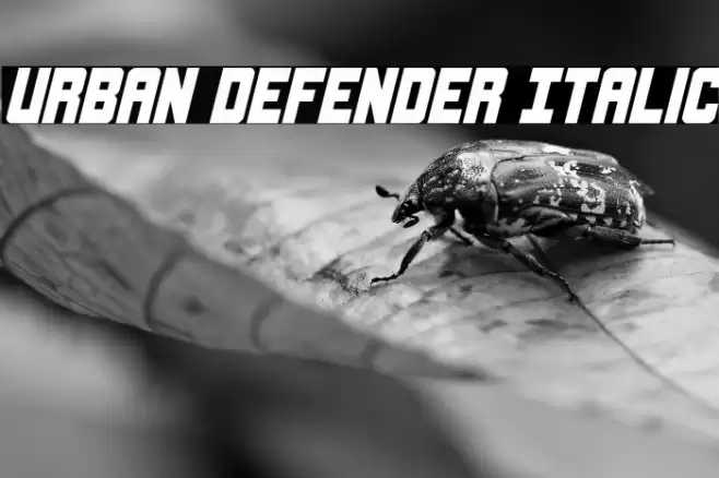 Urban Defender Italic Font examples