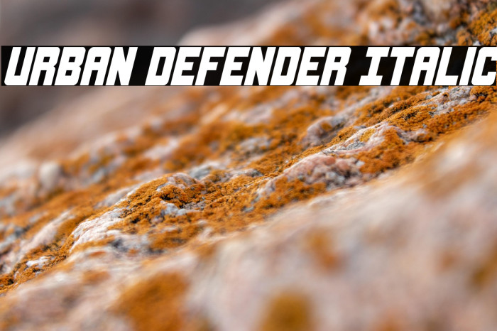 Urban Defender Italic Example 2