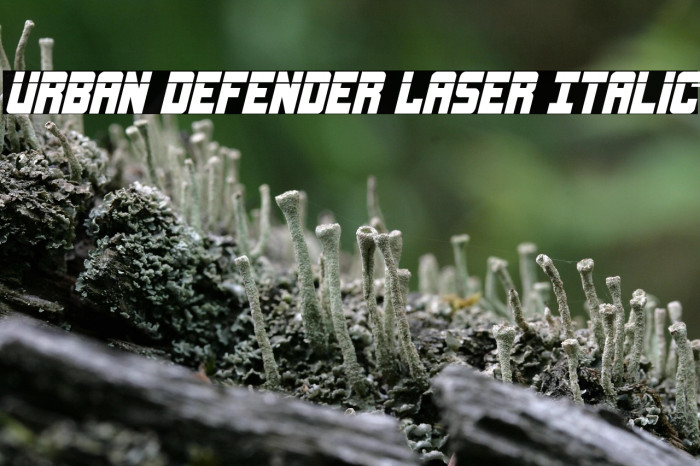Urban Defender Laser Italic Example 2