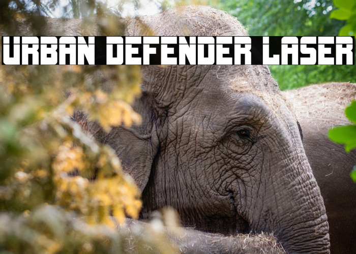 Urban Defender Laser Example 1